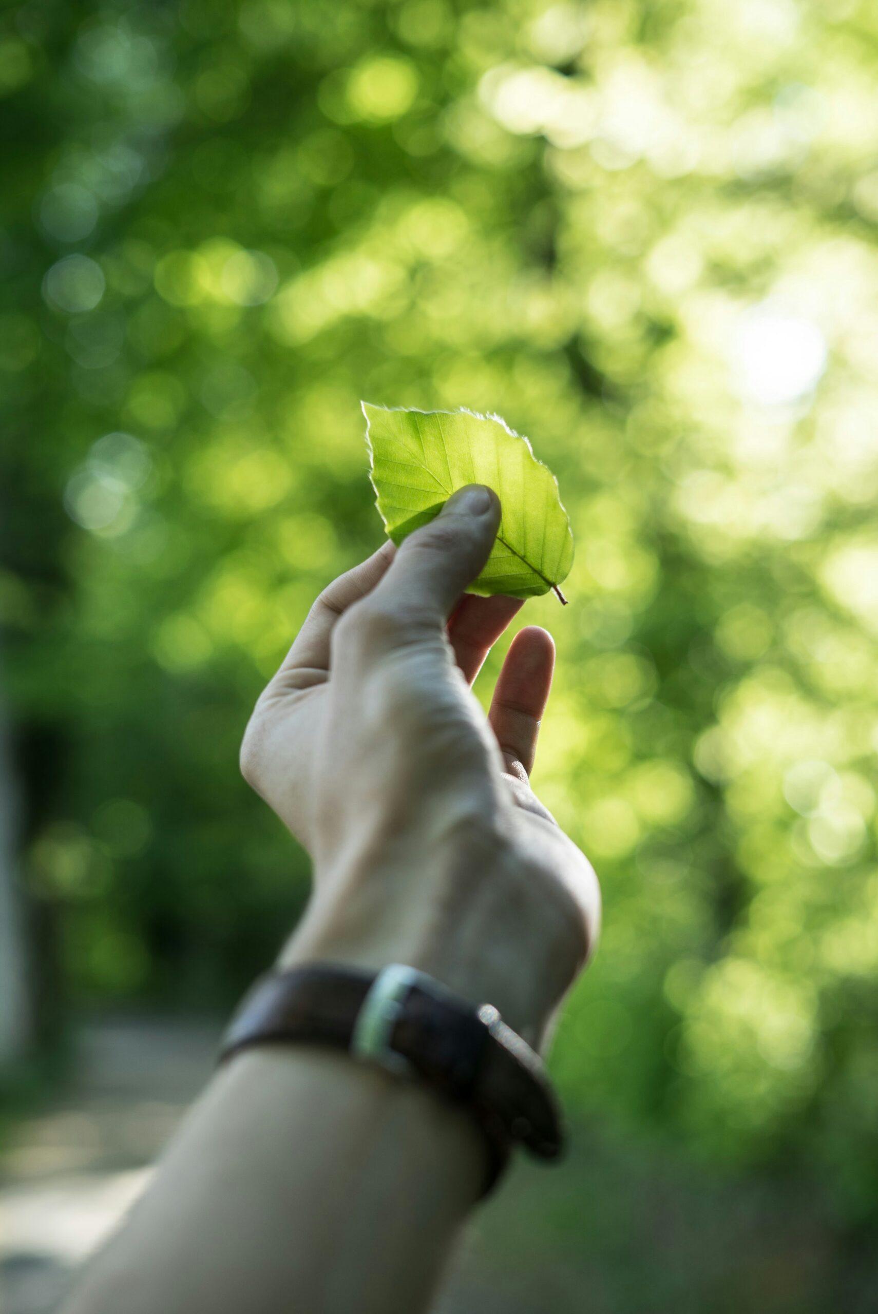 Indicadores para avaliar a sustentabilidade da sua empresa