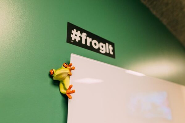 Sala Frog